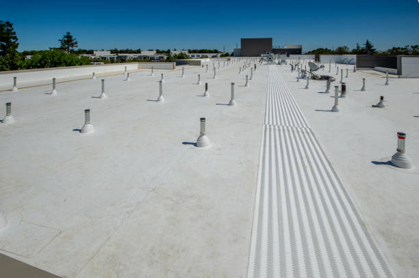 Best Roof Moss and Algae Removal  in Avon Lake, OH